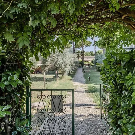 Algioja With Pool & Parking Daire Passignano sul Trasimeno
