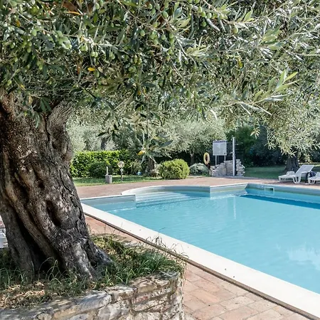 Algioja With Pool & Parking Passignano sul Trasimeno